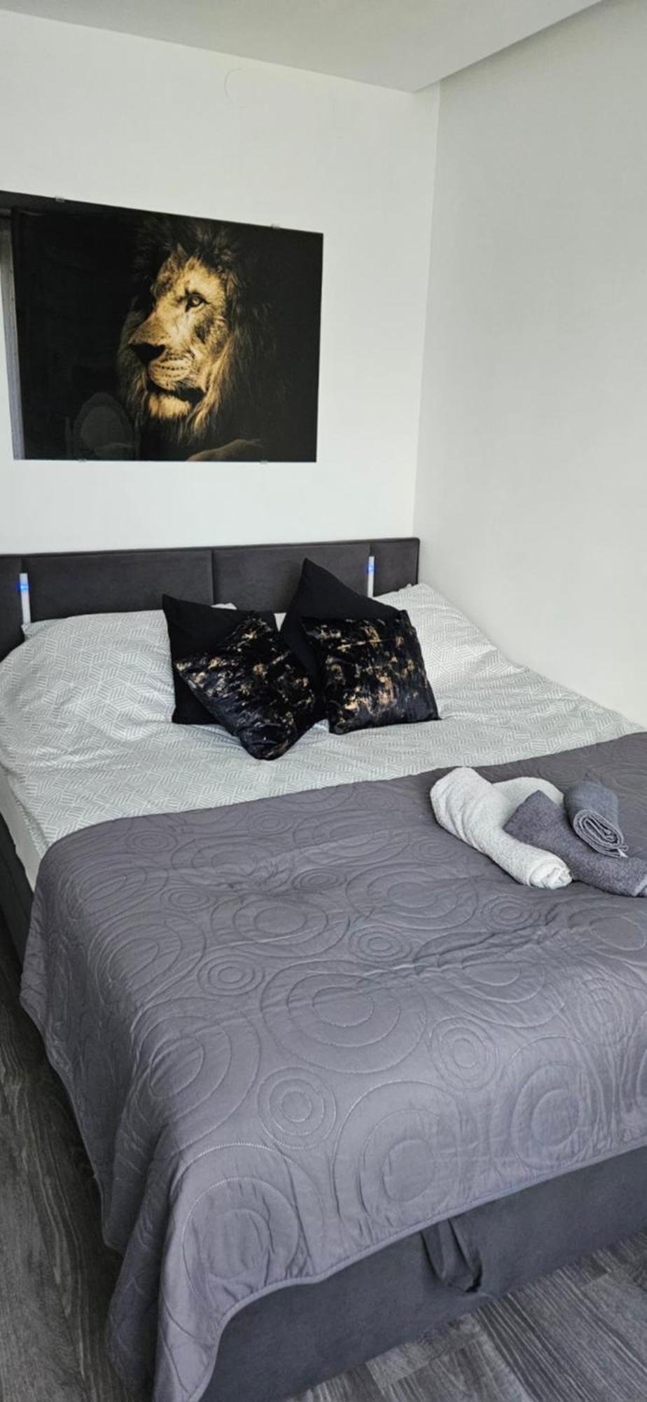 Family Apartament Zamosc  Bagian luar foto