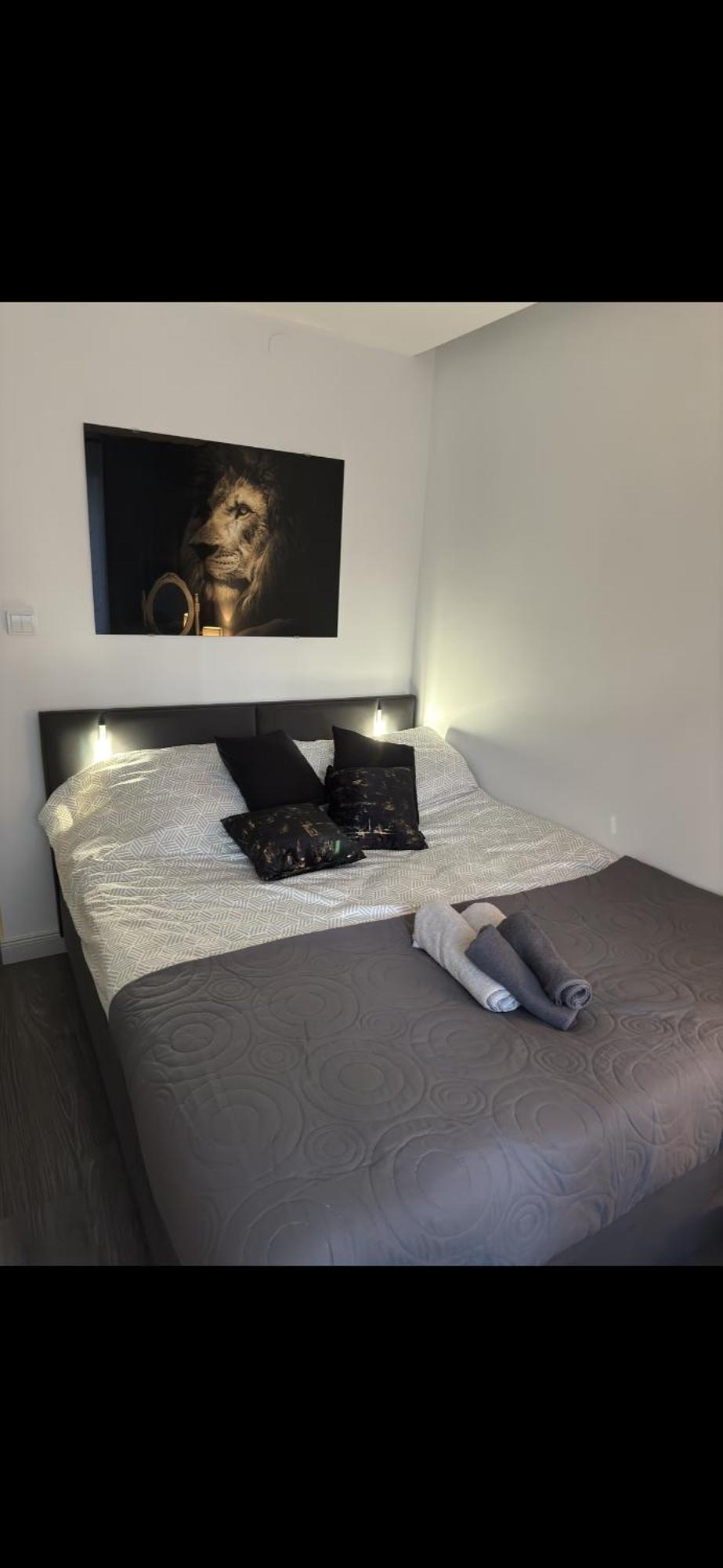 Family Apartament Zamosc  Bagian luar foto